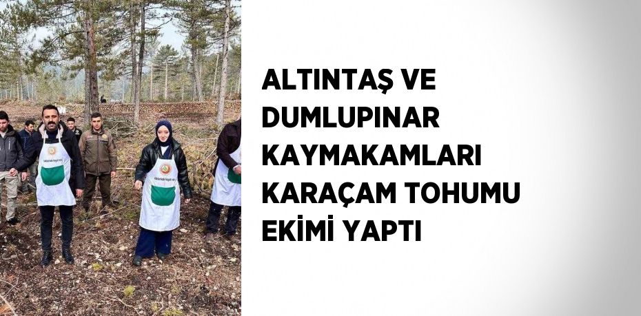 ALTINTAŞ VE DUMLUPINAR KAYMAKAMLARI KARAÇAM TOHUMU EKİMİ YAPTI