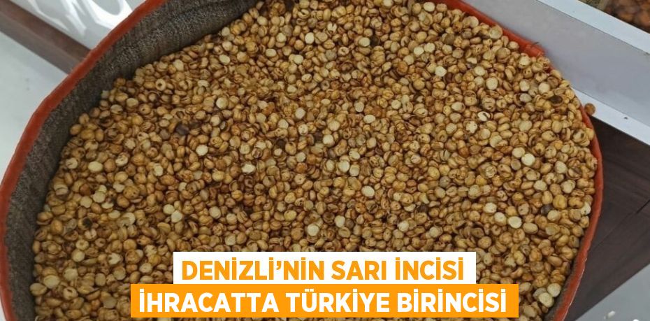 DENİZLİ’NİN SARI İNCİSİ İHRACATTA TÜRKİYE BİRİNCİSİ