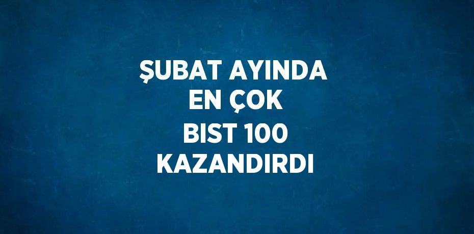 ŞUBAT AYINDA EN ÇOK BIST 100 KAZANDIRDI