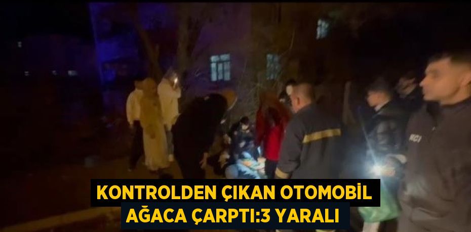 KONTROLDEN ÇIKAN OTOMOBİL AĞACA ÇARPTI:3 YARALI