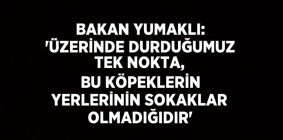 BAKAN YUMAKLI: 'ÜZERİNDE DURDUĞUMUZ TEK NOKTA, BU KÖPEKLERİN YERLERİNİN SOKAKLAR OLMADIĞIDIR'