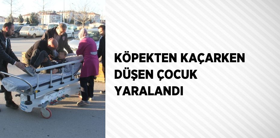 KÖPEKTEN KAÇARKEN DÜŞEN ÇOCUK YARALANDI