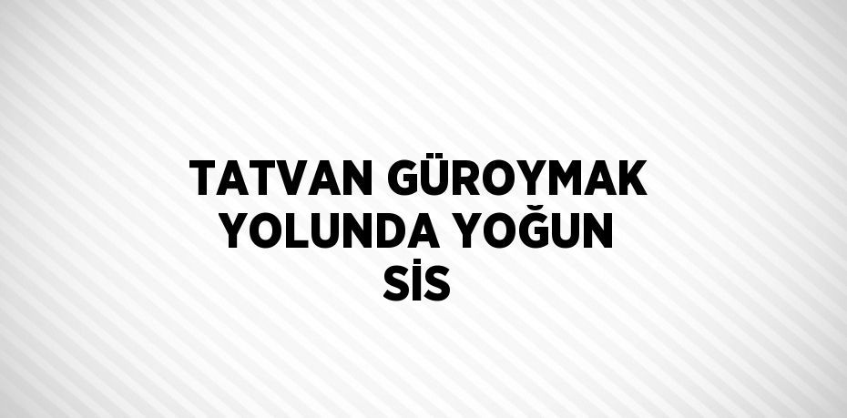 TATVAN GÜROYMAK YOLUNDA YOĞUN SİS