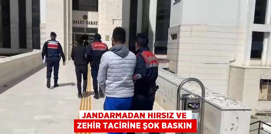 JANDARMADAN HIRSIZ VE ZEHİR TACİRİNE ŞOK BASKIN