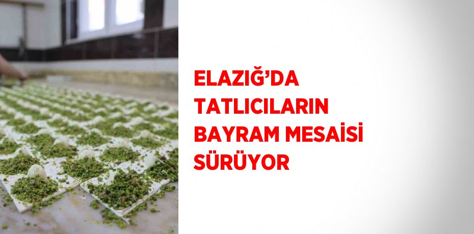 ELAZIĞ’DA TATLICILARIN BAYRAM MESAİSİ SÜRÜYOR