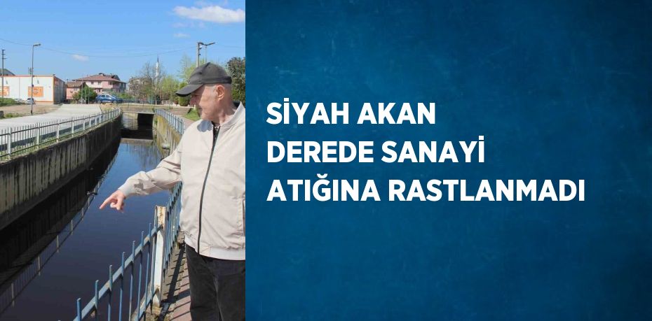 SİYAH AKAN DEREDE SANAYİ ATIĞINA RASTLANMADI