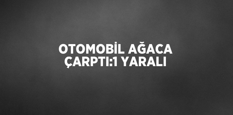 OTOMOBİL AĞACA ÇARPTI:1 YARALI
