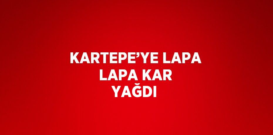 KARTEPE’YE LAPA LAPA KAR YAĞDI