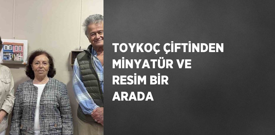 TOYKOÇ ÇİFTİNDEN MİNYATÜR VE RESİM BİR ARADA