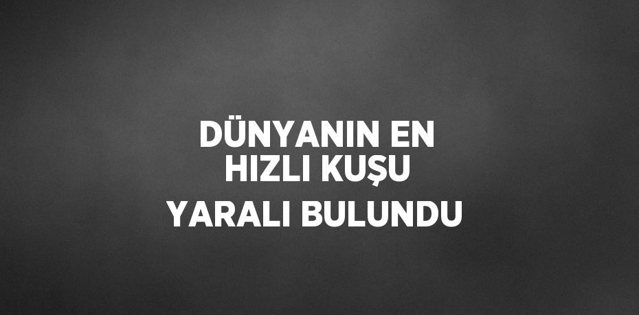 DÜNYANIN EN HIZLI KUŞU YARALI BULUNDU