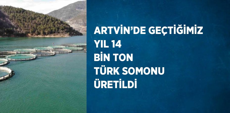 ARTVİN’DE GEÇTİĞİMİZ YIL 14 BİN TON TÜRK SOMONU ÜRETİLDİ