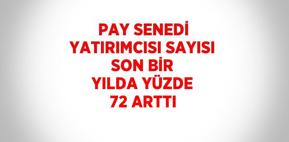 PAY SENEDİ YATIRIMCISI SAYISI SON BİR YILDA YÜZDE 72 ARTTI