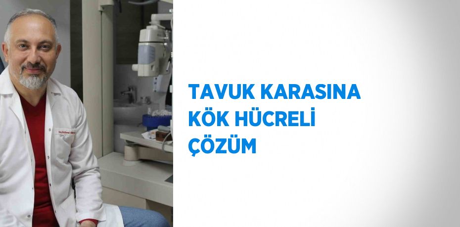 TAVUK KARASINA KÖK HÜCRELİ ÇÖZÜM