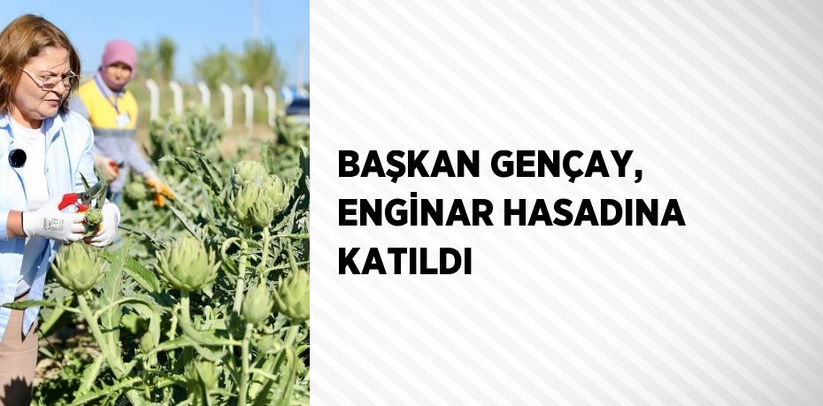 BAŞKAN GENÇAY, ENGİNAR HASADINA KATILDI