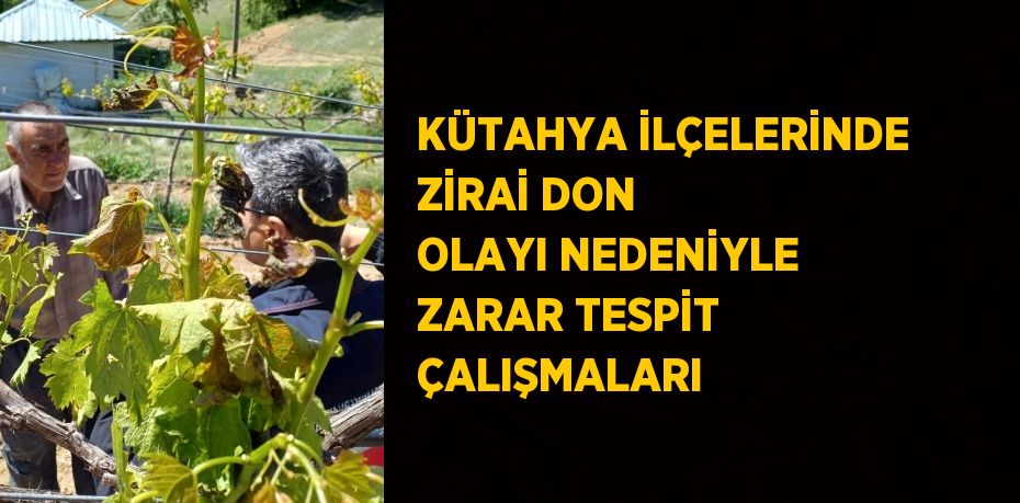 KÜTAHYA İLÇELERİNDE ZİRAİ DON OLAYI NEDENİYLE ZARAR TESPİT ÇALIŞMALARI