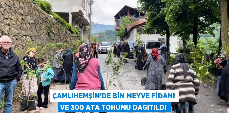 ÇAMLIHEMŞİN’DE BİN MEYVE FİDANI VE 300 ATA TOHUMU DAĞITILDI