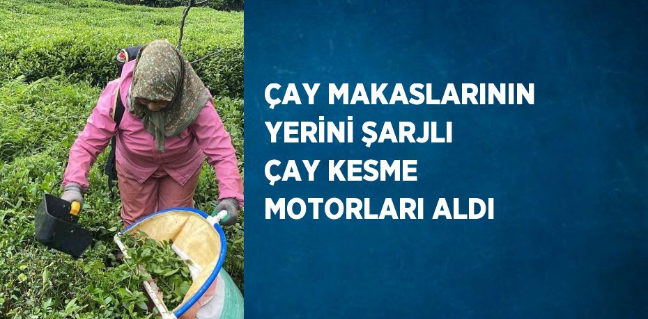 ÇAY MAKASLARININ YERİNİ ŞARJLI ÇAY KESME MOTORLARI ALDI