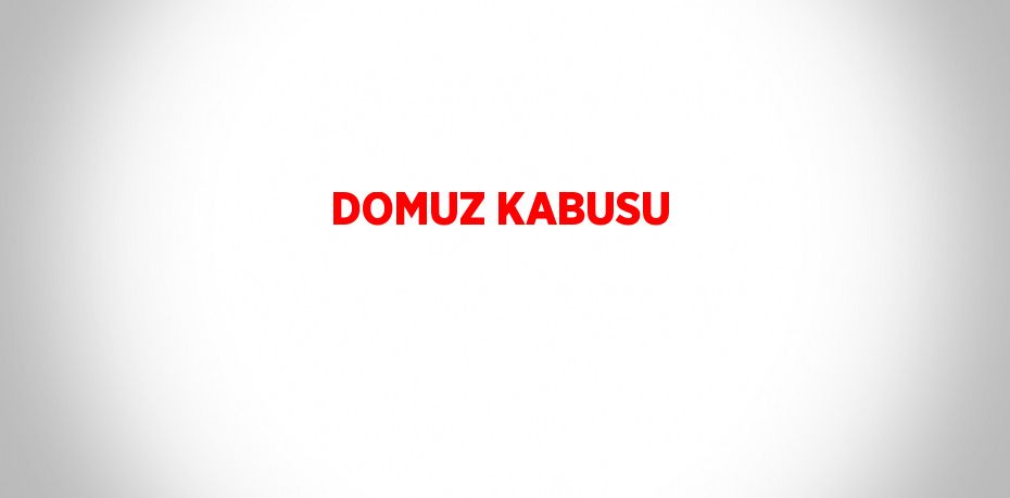 DOMUZ KABUSU