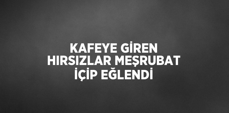 KAFEYE GİREN HIRSIZLAR MEŞRUBAT İÇİP EĞLENDİ