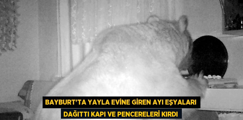 BAYBURT’TA YAYLA EVİNE GİREN AYI EŞYALARI DAĞITTI KAPI VE PENCERELERİ KIRDI