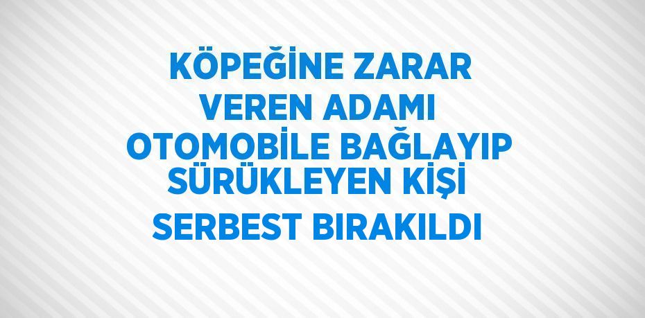 KÖPEĞİNE ZARAR VEREN ADAMI OTOMOBİLE BAĞLAYIP SÜRÜKLEYEN KİŞİ SERBEST BIRAKILDI