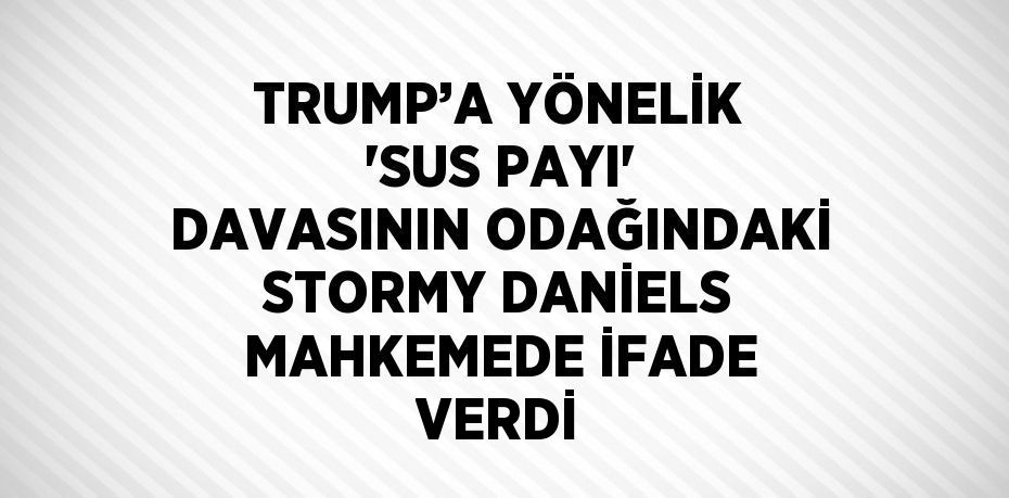 TRUMP’A YÖNELİK 'SUS PAYI' DAVASININ ODAĞINDAKİ STORMY DANİELS MAHKEMEDE İFADE VERDİ