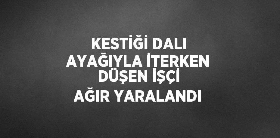 KESTİĞİ DALI AYAĞIYLA İTERKEN DÜŞEN İŞÇİ AĞIR YARALANDI
