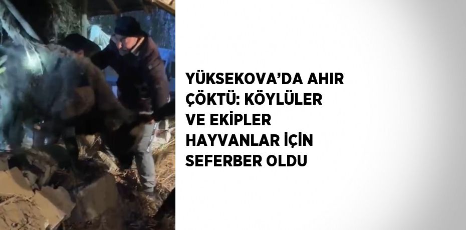 YÜKSEKOVA’DA AHIR ÇÖKTÜ: KÖYLÜLER VE EKİPLER HAYVANLAR İÇİN SEFERBER OLDU