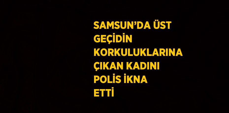 SAMSUN’DA ÜST GEÇİDİN KORKULUKLARINA ÇIKAN KADINI POLİS İKNA ETTİ