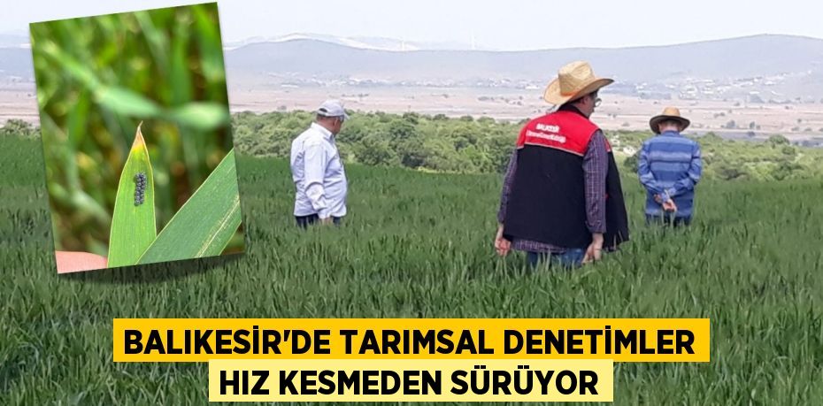 BALIKESİR’DE TARIMSAL DENETİMLER HIZ KESMEDEN SÜRÜYOR