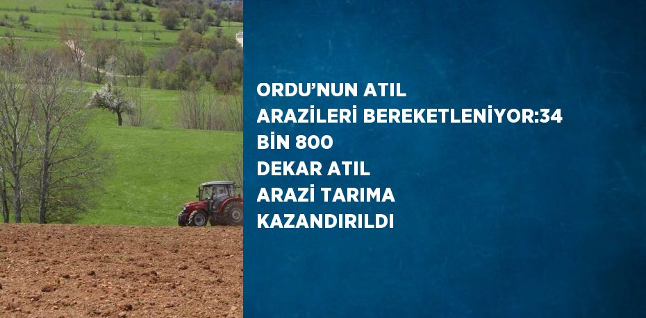 ORDU’NUN ATIL ARAZİLERİ BEREKETLENİYOR:34 BİN 800 DEKAR ATIL ARAZİ TARIMA KAZANDIRILDI