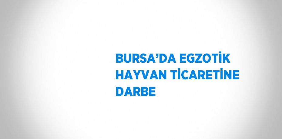 BURSA’DA EGZOTİK HAYVAN TİCARETİNE DARBE