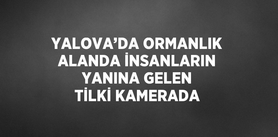 YALOVA’DA ORMANLIK ALANDA İNSANLARIN YANINA GELEN TİLKİ KAMERADA