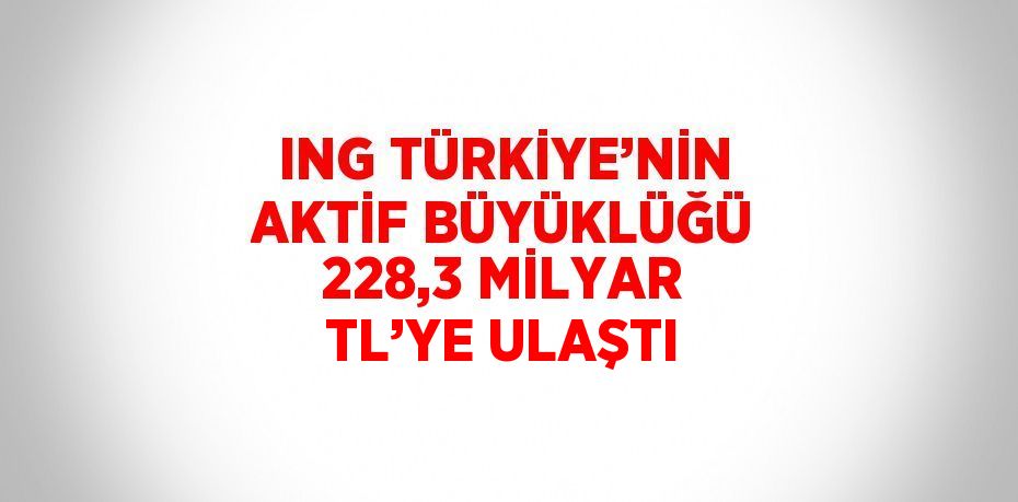 ING TÜRKİYE’NİN AKTİF BÜYÜKLÜĞÜ 228,3 MİLYAR TL’YE ULAŞTI