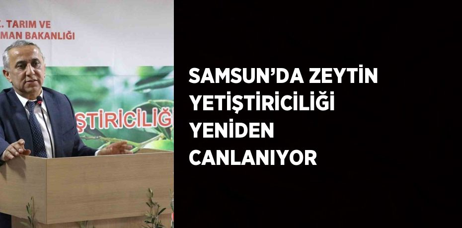 SAMSUN’DA ZEYTİN YETİŞTİRİCİLİĞİ YENİDEN CANLANIYOR