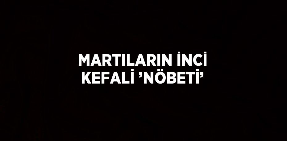 MARTILARIN İNCİ KEFALİ ’NÖBETİ’