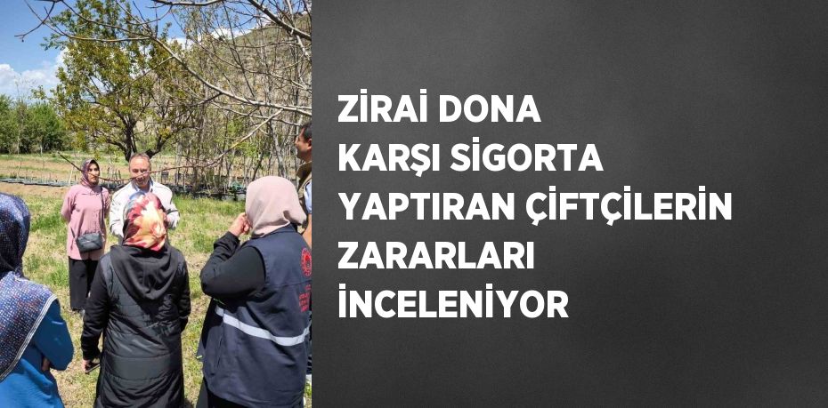 ZİRAİ DONA KARŞI SİGORTA YAPTIRAN ÇİFTÇİLERİN ZARARLARI İNCELENİYOR