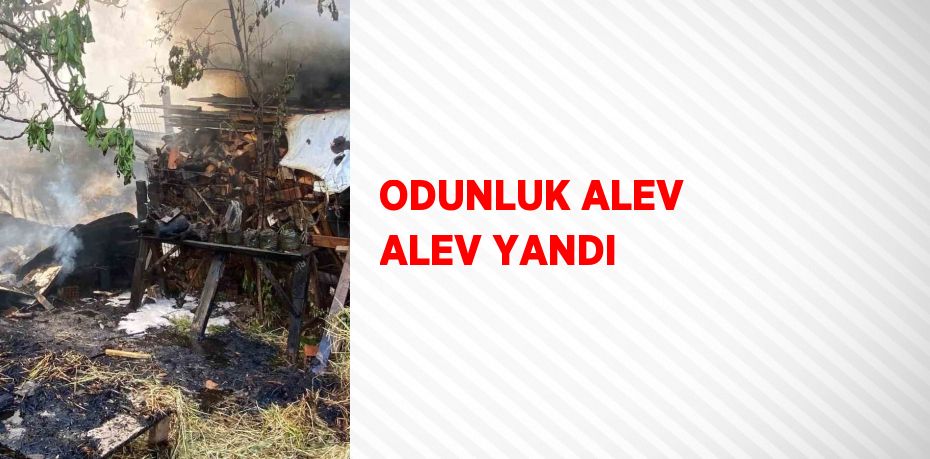 ODUNLUK ALEV ALEV YANDI