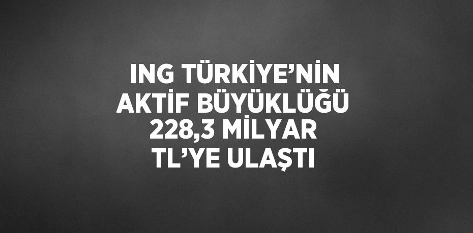 ING TÜRKİYE’NİN AKTİF BÜYÜKLÜĞÜ 228,3 MİLYAR TL’YE ULAŞTI