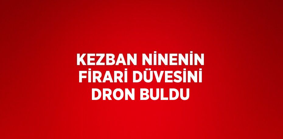KEZBAN NİNENİN FİRARİ DÜVESİNİ DRON BULDU