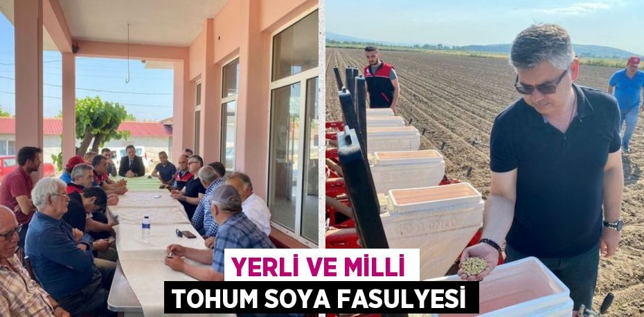 YERLİ VE MİLLİ TOHUM SOYA FASULYESİ