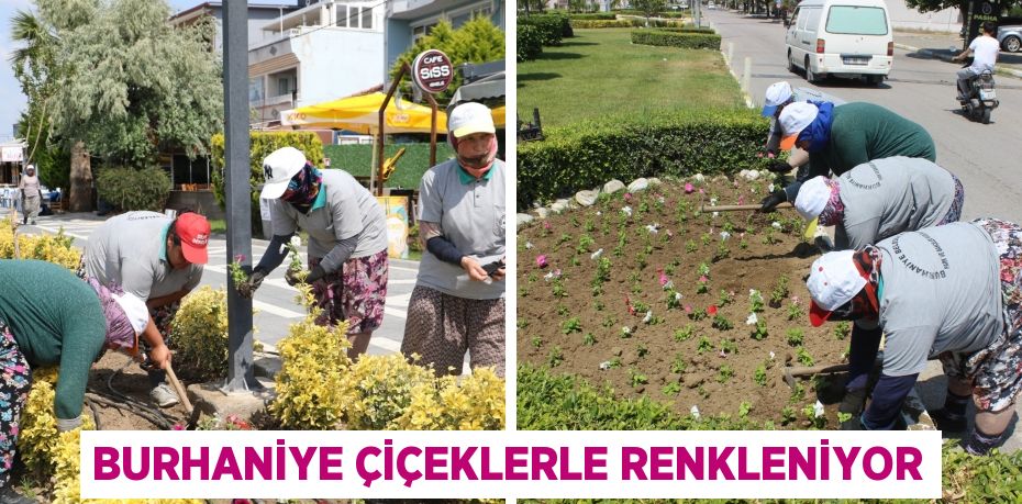 BURHANİYE ÇİÇEKLERLE RENKLENİYOR