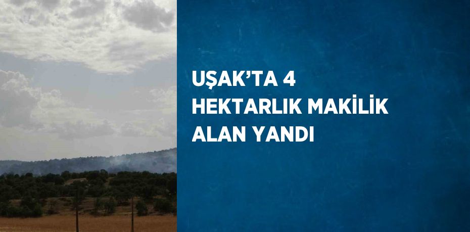 UŞAK’TA 4 HEKTARLIK MAKİLİK ALAN YANDI