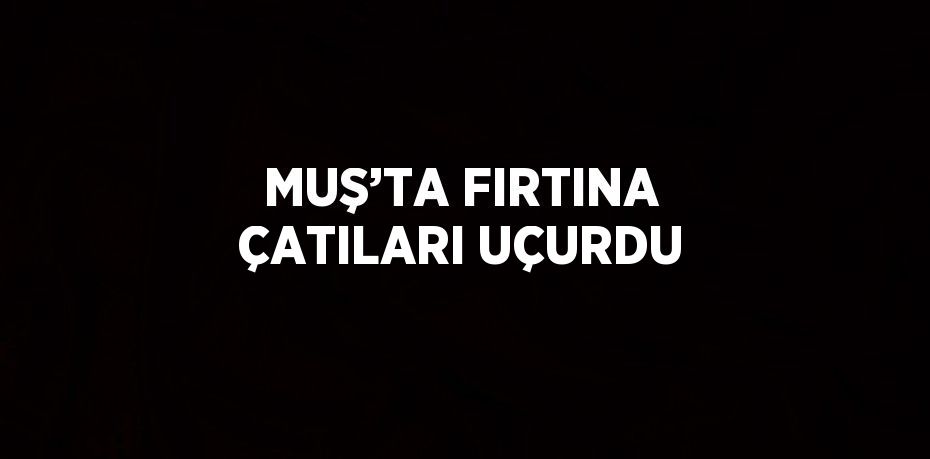 MUŞ’TA FIRTINA ÇATILARI UÇURDU