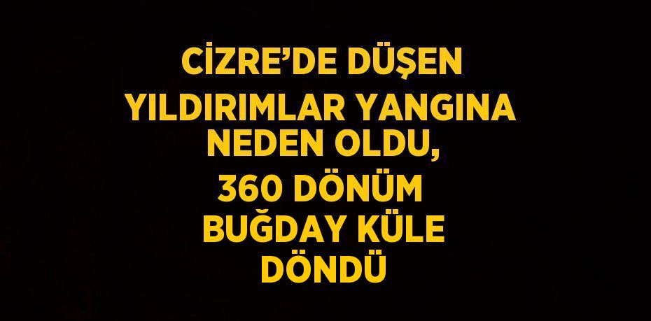 CİZRE’DE DÜŞEN YILDIRIMLAR YANGINA NEDEN OLDU, 360 DÖNÜM BUĞDAY KÜLE DÖNDÜ