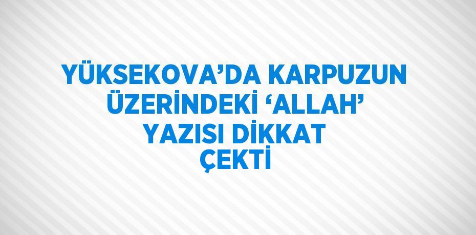 YÜKSEKOVA’DA KARPUZUN ÜZERİNDEKİ ‘ALLAH’ YAZISI DİKKAT ÇEKTİ