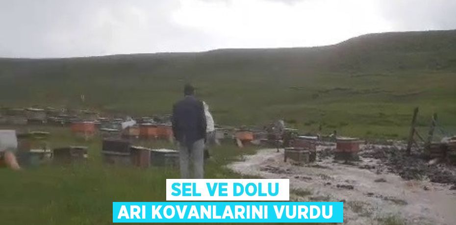 SEL VE DOLU ARI KOVANLARINI VURDU