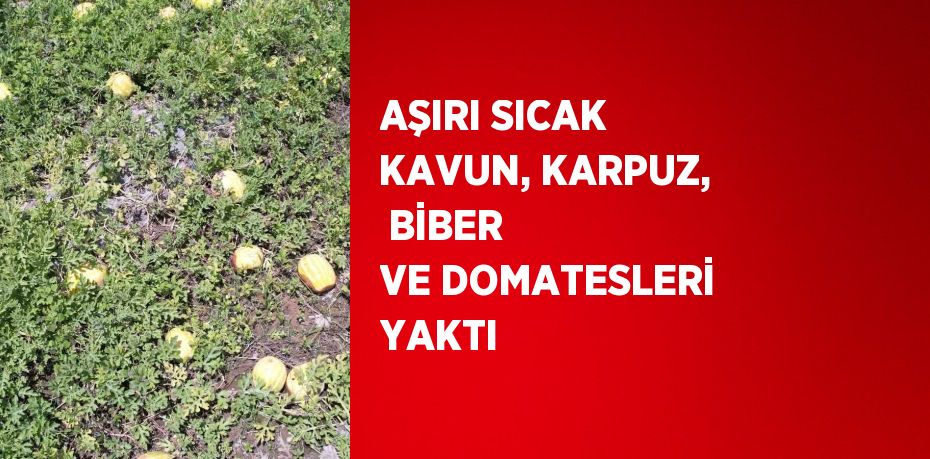 AŞIRI SICAK KAVUN, KARPUZ,  BİBER VE DOMATESLERİ YAKTI