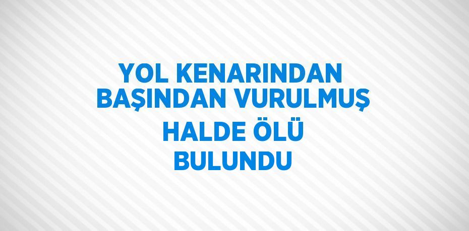 YOL KENARINDAN BAŞINDAN VURULMUŞ HALDE ÖLÜ BULUNDU