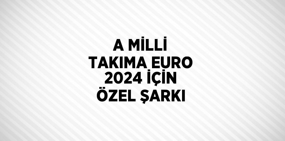 A MİLLİ TAKIMA EURO 2024 İÇİN ÖZEL ŞARKI